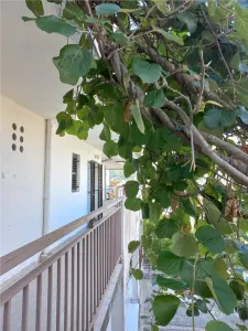 Appartement à Vendre à Kotor - Stoliv
