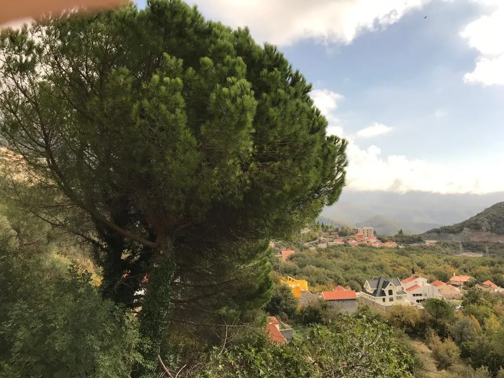 布德瓦待售地块 - foto 7