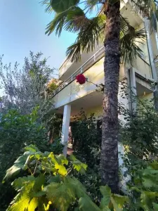 Casa en Venta en Budva - foto 2