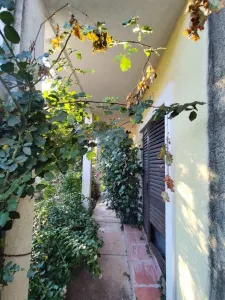 Casa en Venta en Budva - foto 3