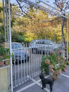 Casa en Venta en Budva - foto 10