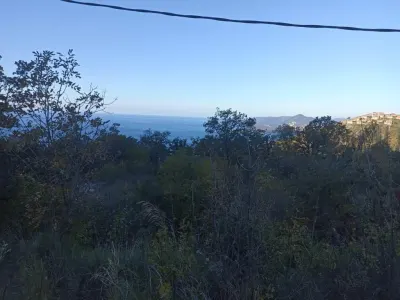 Terrain à Vendre à Budva - foto 5