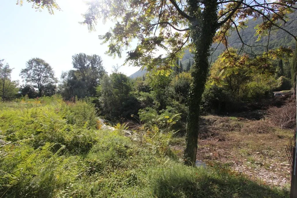 赫尔茨格-诺维土地出售 - foto 3