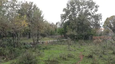 أرض للبيع في تيفات - foto 3