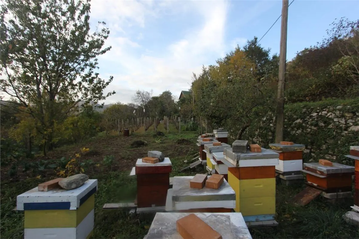 أرض للبيع في هرتسيج نوفي - foto 5