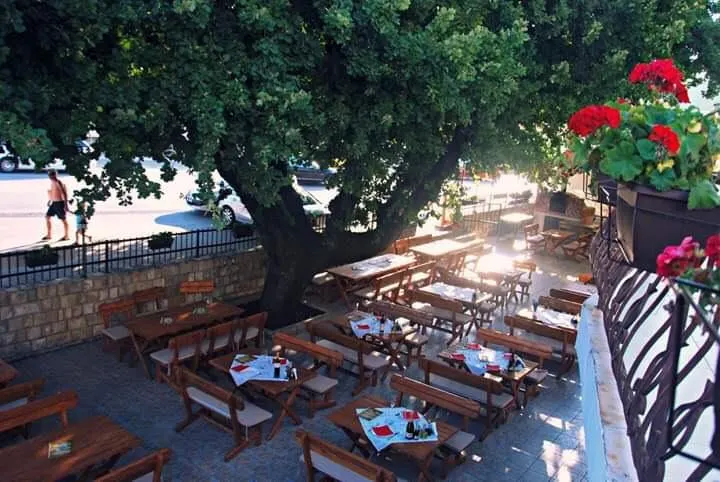 Hôtel à Vendre à Budva - foto 4