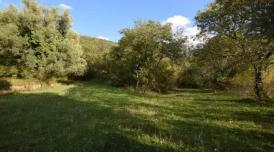 Terreno en Venta en Kotor - Kotor