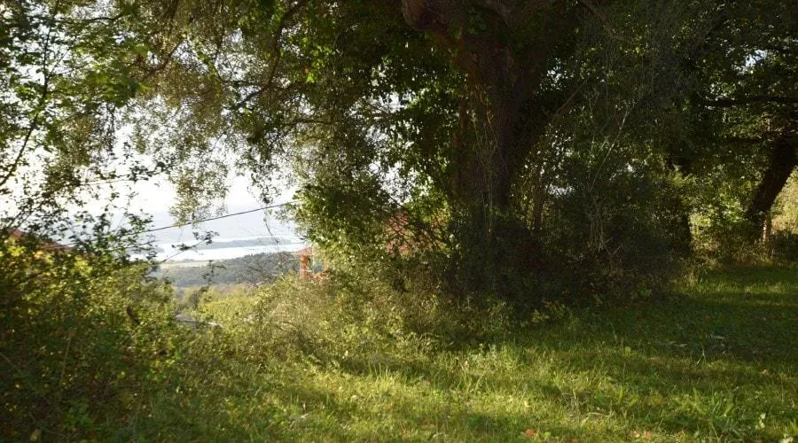 Terreno en Venta en Kotor - foto 7