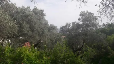 Teren de vanzare in Budva - foto 2