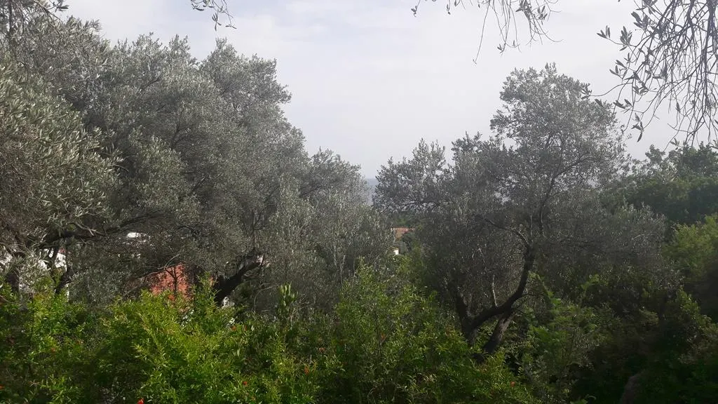 Teren de vanzare in Budva - foto 2