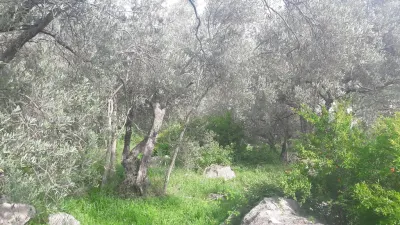 Teren de vanzare in Budva - foto 3