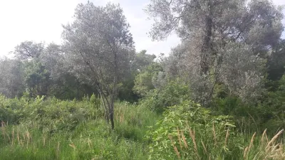 Teren de vanzare in Budva - foto 4