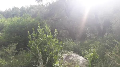 Teren de vanzare in Budva - foto 5