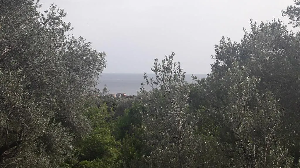 Teren de vanzare in Budva - foto 6