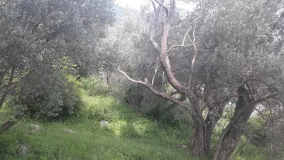 Teren de vanzare in Budva - foto 7