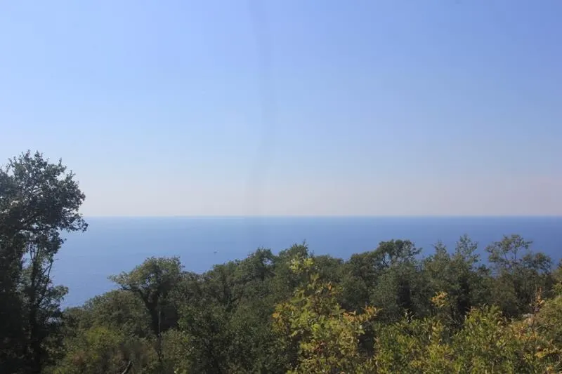 Teren de vanzare in Budva - foto 1