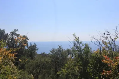 Teren de vanzare in Budva - foto 3