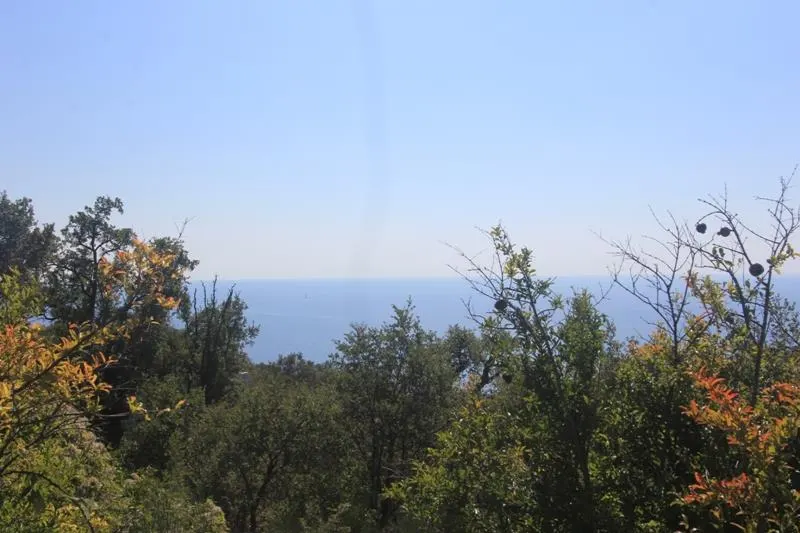 Teren de vanzare in Budva - foto 3