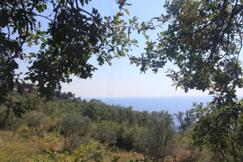 Teren de vanzare in Budva - foto 4