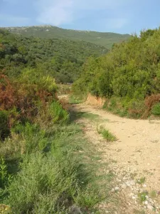 赫塞格-诺维土地出售 - foto 3