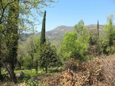 أرض للبيع في هرتسيج نوفي - Herceg Novi