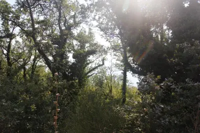 Land for Sale in Budva - foto 2