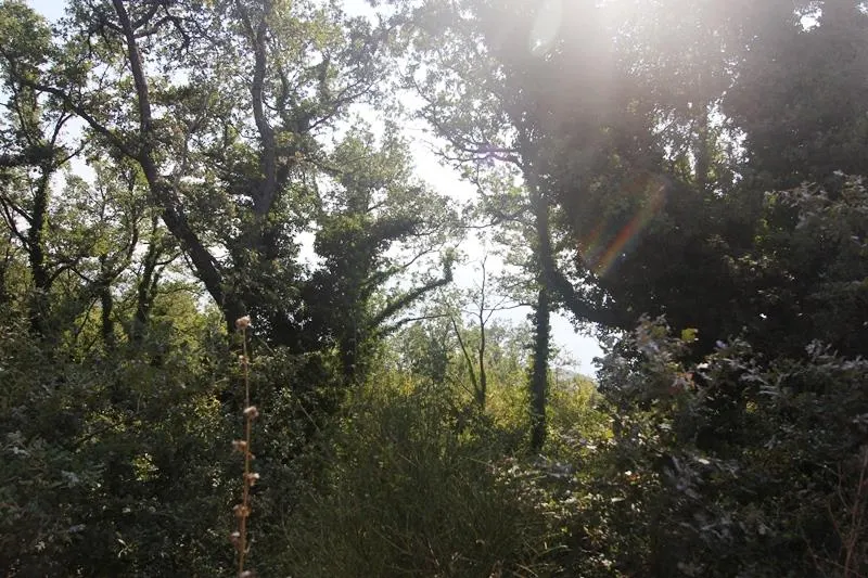 Land for Sale in Budva - foto 2
