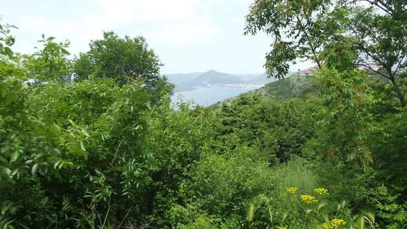 Land for Sale in Budva - foto 1