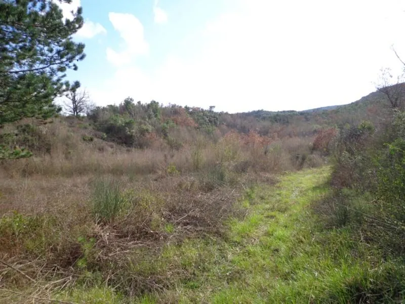Land for Sale in Kotor - foto 4
