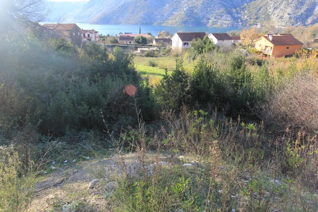Terrain à Vendre à Kotor - foto 3