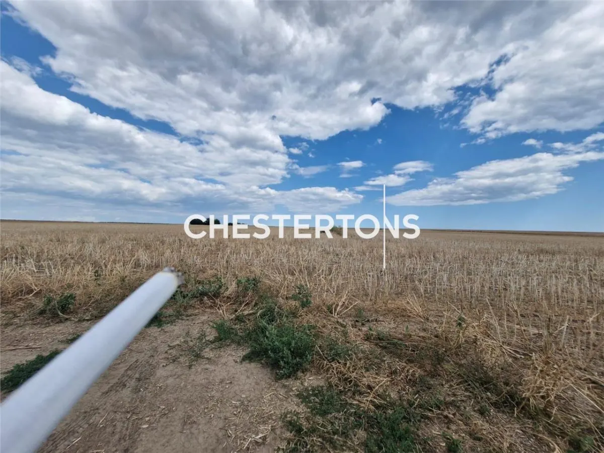 Land for sale 5000 sqm in Corbu - foto 3