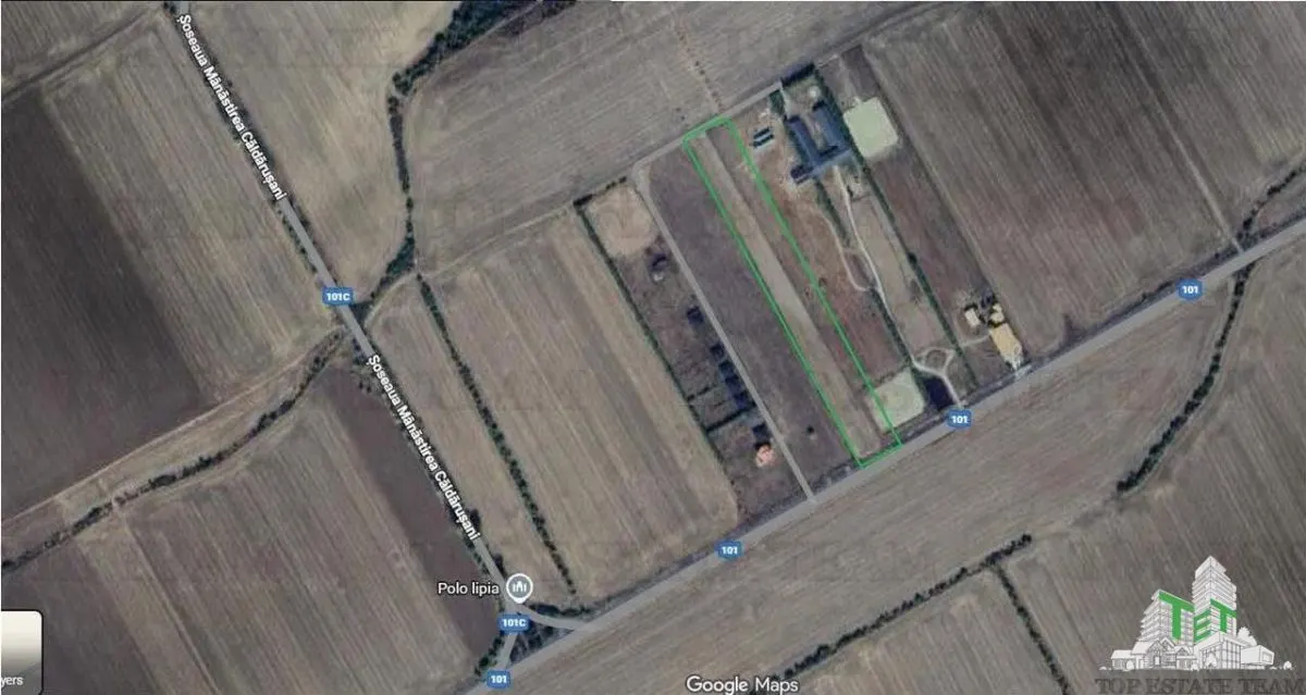 Land for sale 8050 sqm in Gruiu Ilfov - foto 2