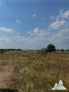 Industrial Land 5,000 sqm / DN1B – Automotive Showroom Zone / 18m Frontage - foto 17