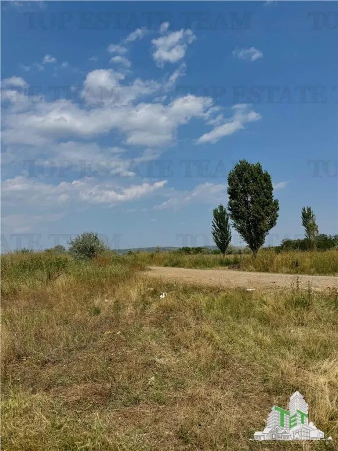 Industrial Land 5,000 sqm / DN1B – Automotive Showroom Zone / 18m Frontage - foto 19