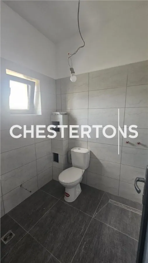 Commercial space for rent in Domnesti, Central area - foto 6
