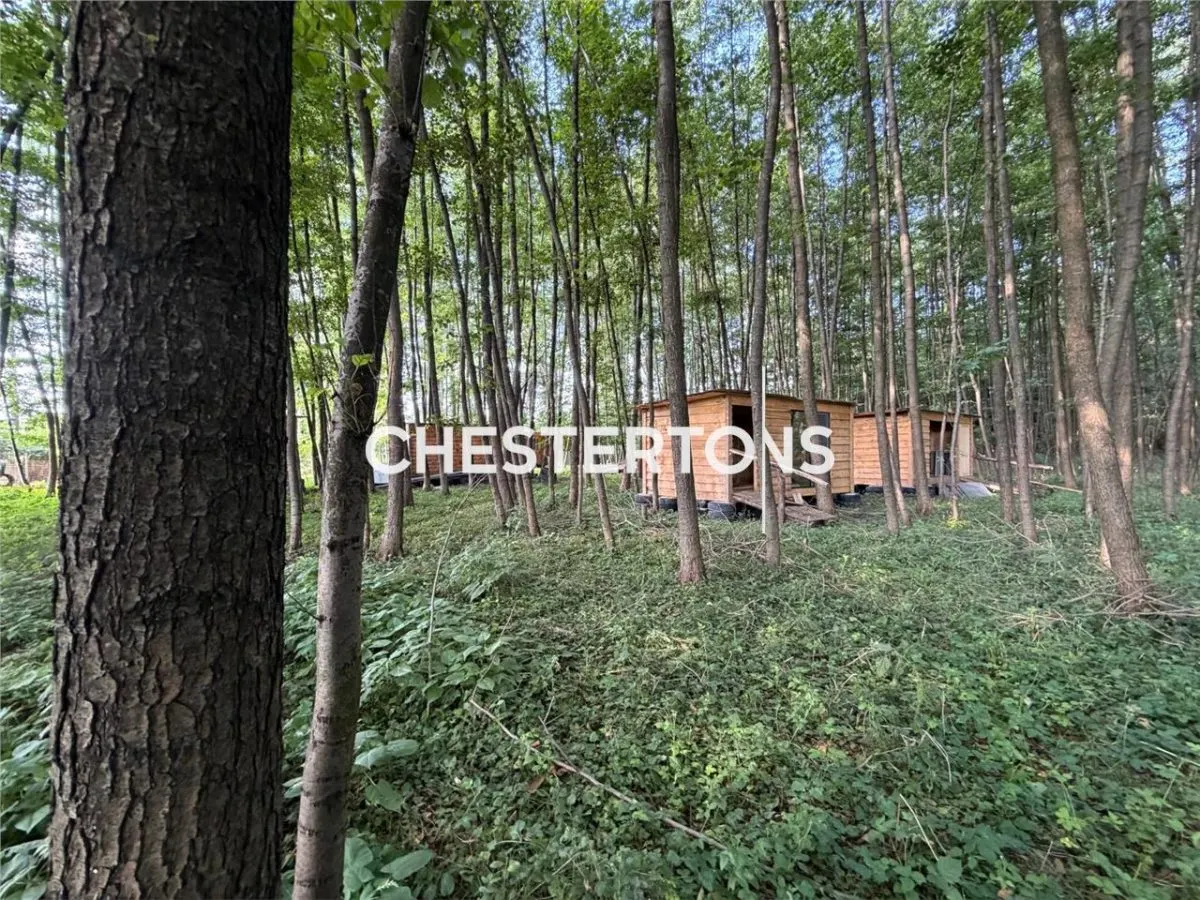 Terreno Urbano de 11,900 m² en Arges, Rumania - foto 18