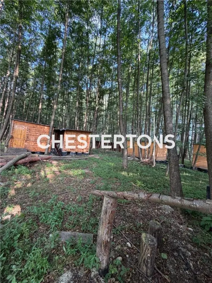 Terreno Urbano de 11,900 m² en Arges, Rumania - foto 10