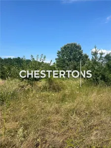 Terreno en Venta - Ordoreanu | 2.760 m² | Frente 39,5 ml | 50 €/m² - foto 3