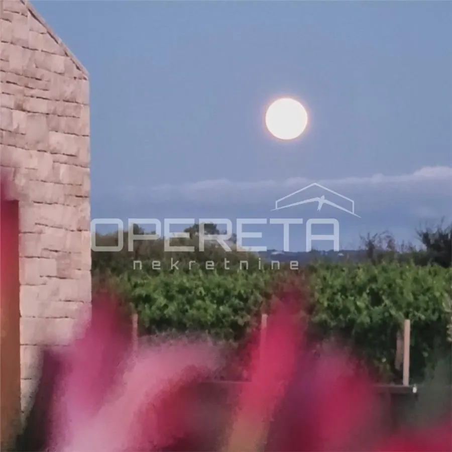 Villa de Lujo en Venta en Brtonigla, Istria, Croacia - foto 16