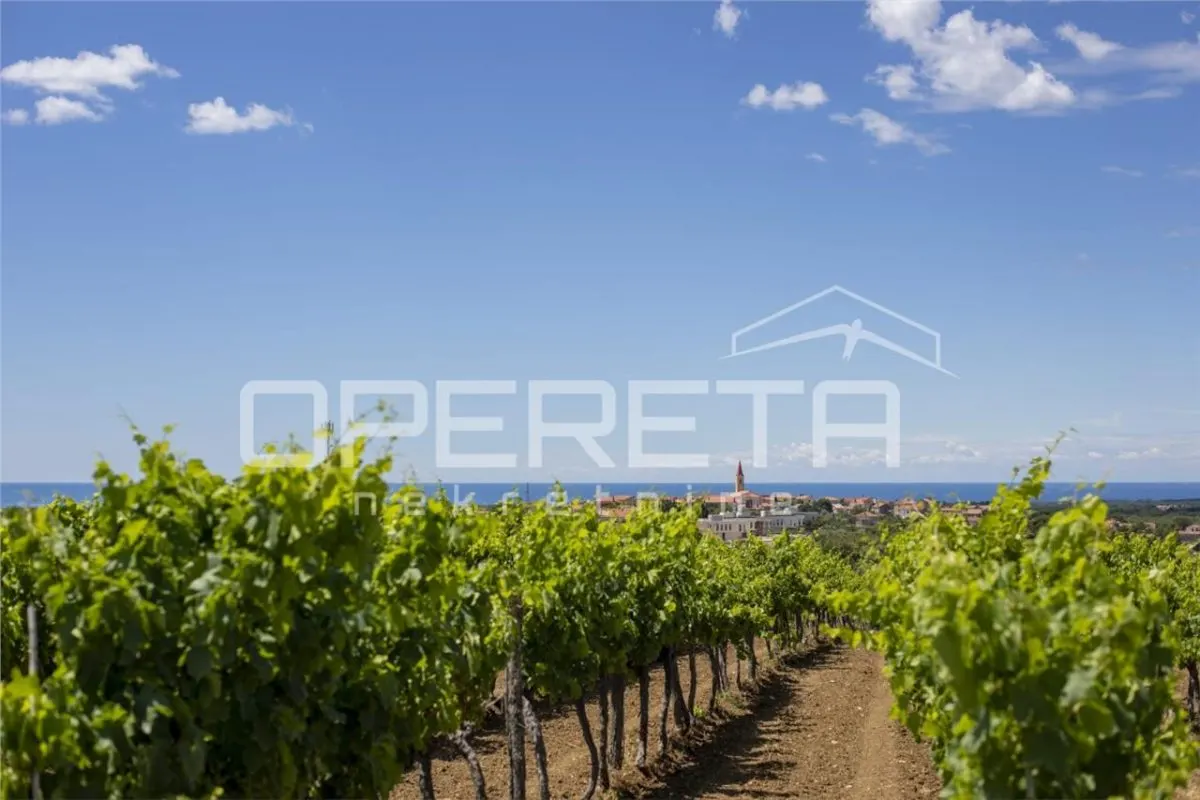Villa de Lujo en Venta en Brtonigla, Istria, Croacia - foto 3