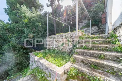 Villa en Bord de Mer à Vendre à Babino Polje, Île de Mljet, Croatie - foto 20