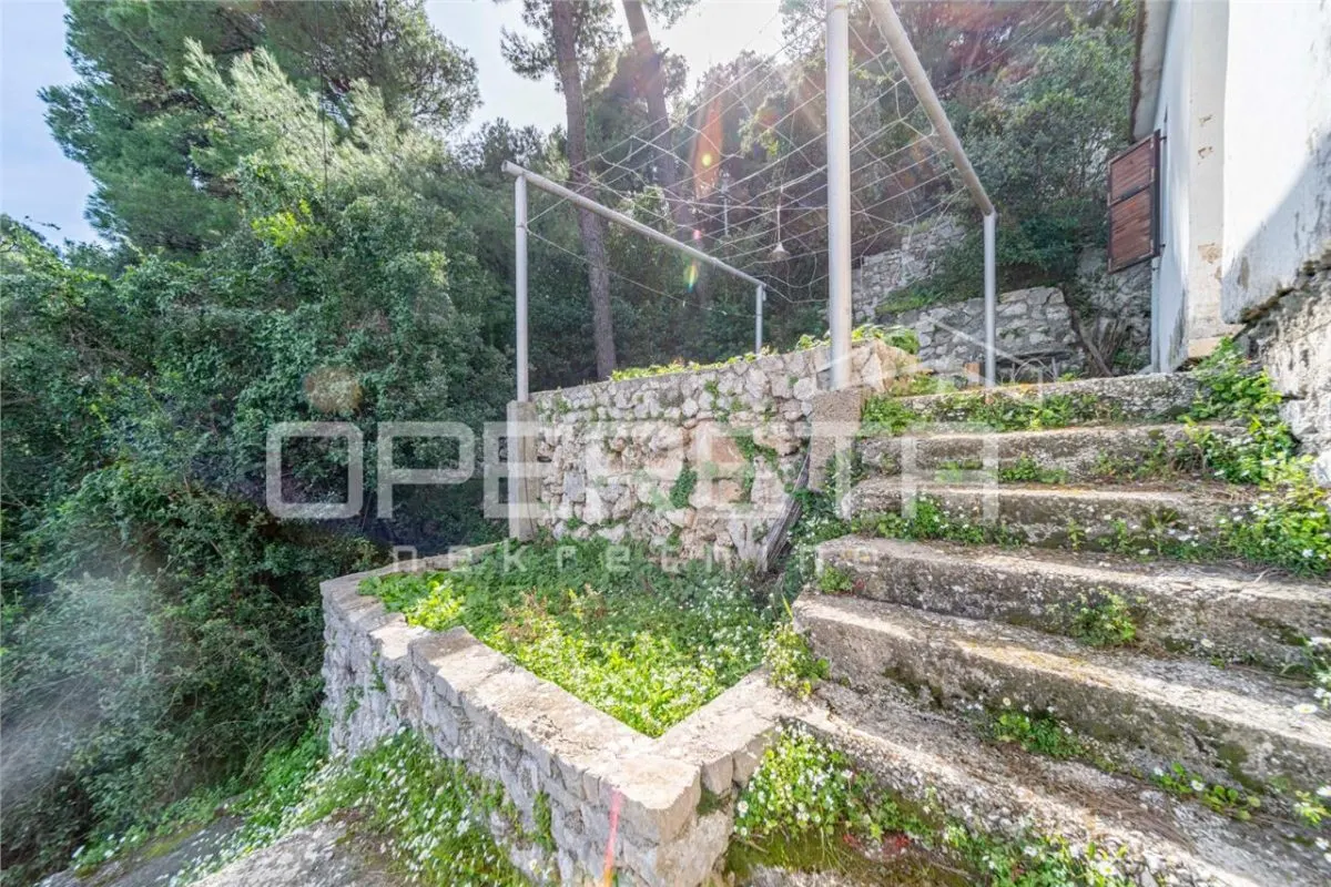 Villa en Bord de Mer à Vendre à Babino Polje, Île de Mljet, Croatie - foto 20