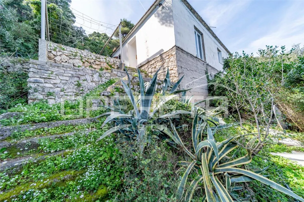 Villa en Bord de Mer à Vendre à Babino Polje, Île de Mljet, Croatie - foto 10