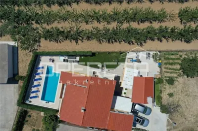 Villa de Luxe avec Piscine et Vue Mer à Kaštelaš, Croatie - foto 16