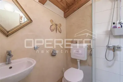 Traditional Istrian Stone Villa with Pool for Sale in Svetvincenat, Croatia - foto 23