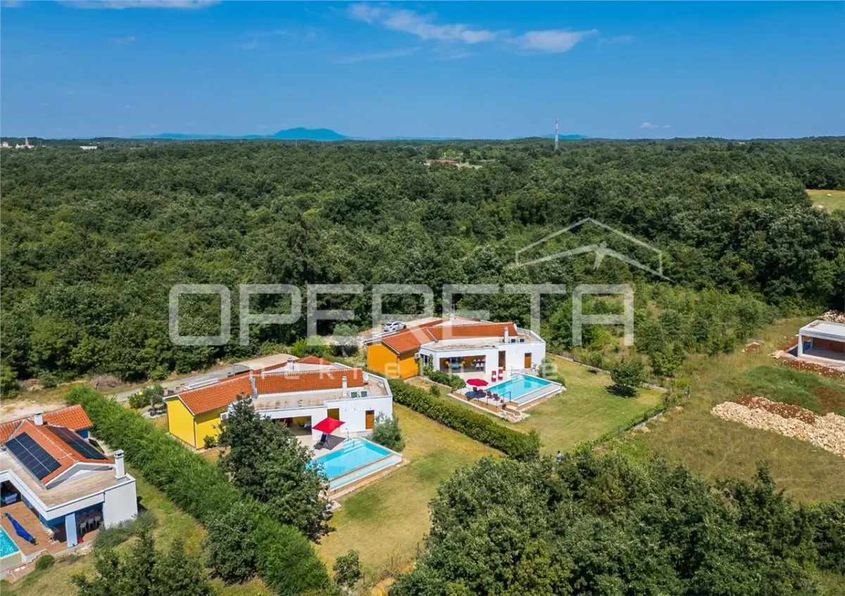 Two Modern Villas for Sale in Svetvincenat, Croatia - foto 2