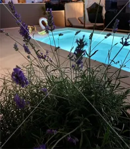 克罗地亚马卡尔斯卡豪华别墅出售 - foto 6
