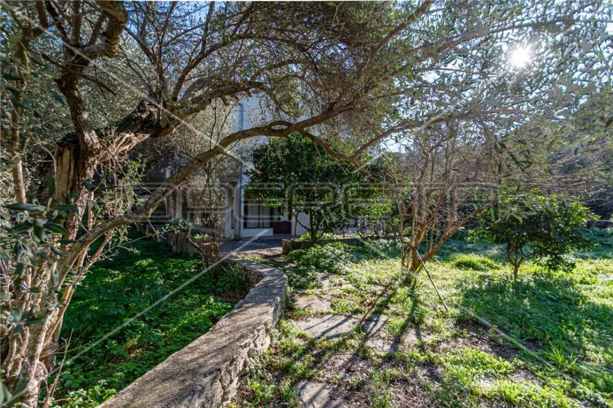 Villa Property for Sale in Žrnovo, Croatia - foto 25