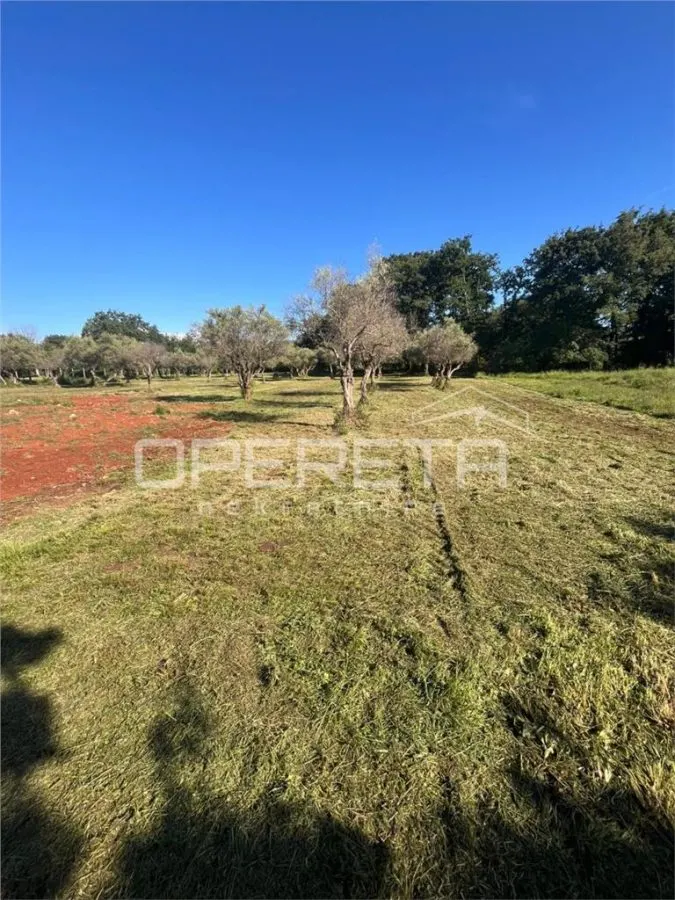 Villa en Venta en Brtonigla, Croacia - foto 21