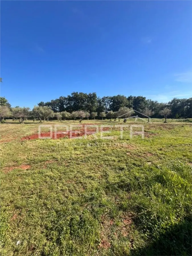 Villa en Venta en Brtonigla, Croacia - foto 22